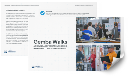 Download the Gemba Whitepaper Download the Gemba Whitepaper